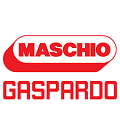 Maschio petit