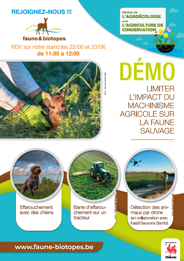 Demo f b